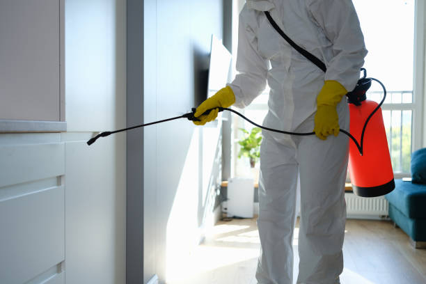 Best Industrial Mold Remediation in Streamwood, IL